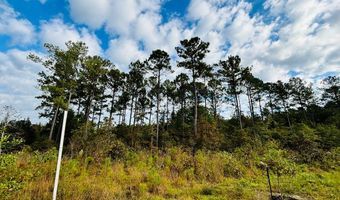644 Ash-Harrel Loop, Abbeville, GA 31001