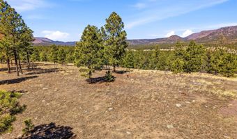 N2147, Alpine, AZ 85920