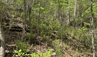State Hwy N Tract G, Ava, MO 65608