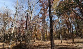 9- F Dulwich Dr, Amherst, VA 24521