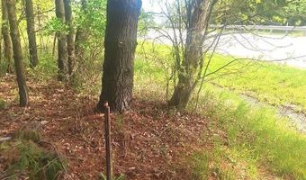 Parcel 2 Lakeshore Road, Applegate, MI 48401