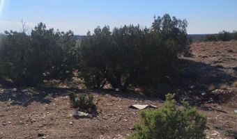 156 N9046, Concho, AZ 85924