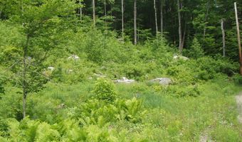 Lower Woods and Water Road Lot 9, Winhall, VT 05340
