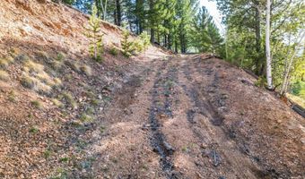 272 Wise Rd, Bailey, CO 80421