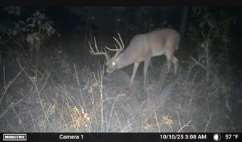 N80 Helt Rd, Antlers, OK 74525