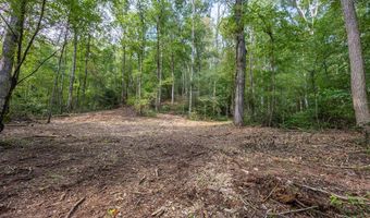 23 59 Ac Chestnut Flats Rd, Andrews, NC 28901