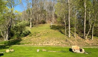 1170 Straight Run Rd, Alum Bridge, WV 26321