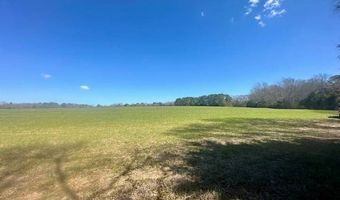 0 Tervin Mill Rd, Andalusia, AL 36421