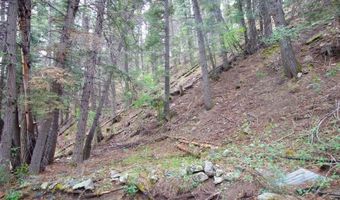 22954 Mt. Elbert Dr, Aguilar, CO 81020