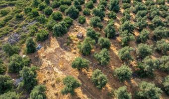 0 Sara Jane Ln, Anderson, CA 96007