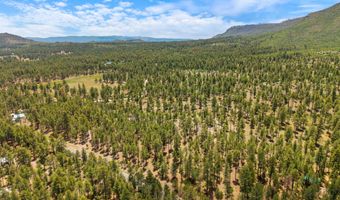 98 County Road 2266, Alpine, AZ 85920