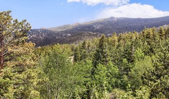 449 Highway 7 Business, Allenspark, CO 80510