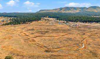 The Ranch at Alpine lot 23, Alpine, AZ 85920