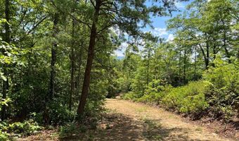 501 Clifftop Trl 26, Andrews, NC 28901