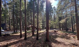 646 Dean Way, Arnold, CA 95223