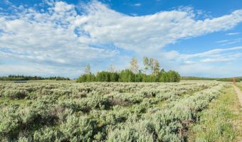 TRACT 4 ASPEN RIDGE Road, Daniel, WY 83115