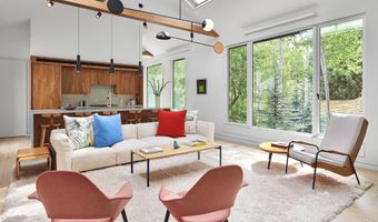 612 W Francis St, Aspen, CO 81611