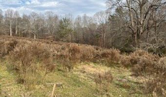 Julius Bridge Road, Ball Ground, GA 30107