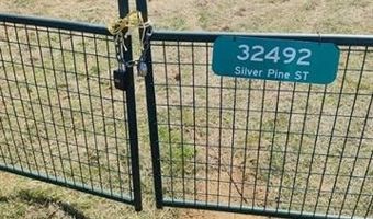 32492 Silver Pine St, Bristow, OK 74010