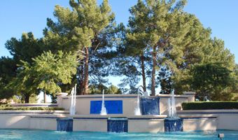 24420 S BOXWOOD Dr, Sun Lakes, AZ 85248