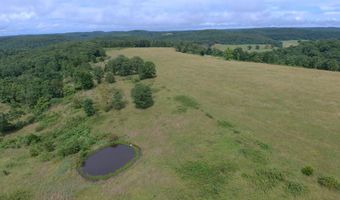 22017 E State Hwy 76, Ava, MO 65608