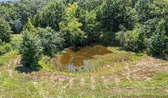 425 Hartwick Ln, Atkins, AR 72823