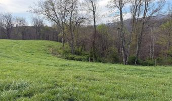 1999 Snake Run Rd, Alderson, WV 24910