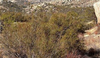 0 Ruben Dr, Aguanga, CA 92536