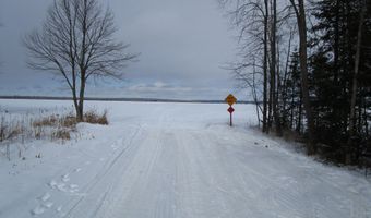 11190 Hassler Woods Trl, Alanson, MI 49706
