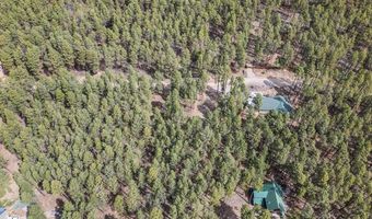 310 Timber Dr, Bayfield, CO 81122