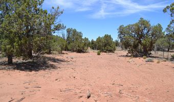 82 5020, Concho, AZ 85924