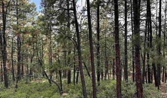 259 Hillside Cir, Bayfield, CO 81122