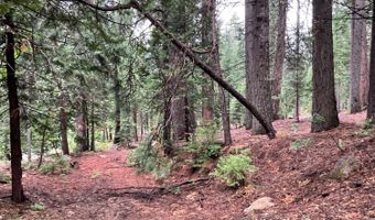 1526 Seminole, Arnold, CA 95223