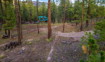 7 Eric Ln, Alpine, AZ 85920