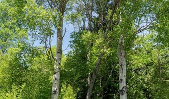 Nna Moyie River Rd, Bonners Ferry, ID 83805