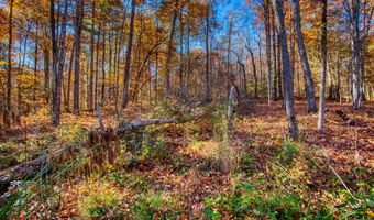 54 E Ridge Rd, Allardt, TN 38504