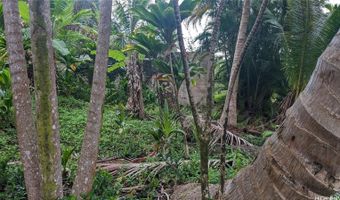 53-354 Kamehameha Hwy 3F, Hauula, HI 96717