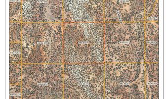 54 Off Of Raney, Ash Fork, AZ 86320