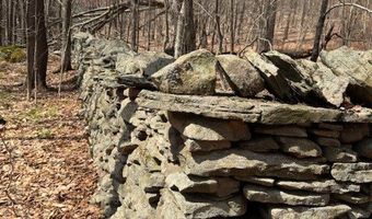 Lot 2 Doig Hollow Road, Andes, NY 13731