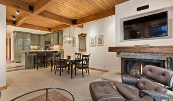 610 S West End St D203, Aspen, CO 81611