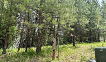 53 Landale Ln 37, Cascade, ID 83611