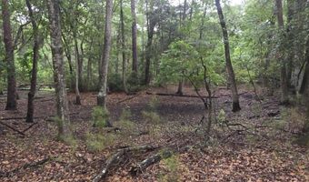 386 Brickyard Point Rd S, Beaufort, SC 29907