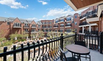 415 E Dean St. # 25 Week 6, Aspen, CO 81611
