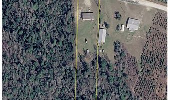 19297 NE BARTON CEMETERY Rd, Altha, FL 32421