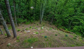 41 Allen Rd, Bartlett, NH 03838