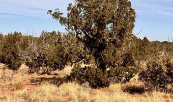 Tbd 207-69-014E, Chambers, AZ 86502