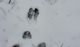 4775 S 50th Rd, Aldrich, MO 65601