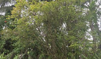 15-1788 8TH Ave, Keaau, HI 96749