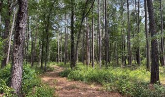 Fox Paw Court, Branchville, SC 29432