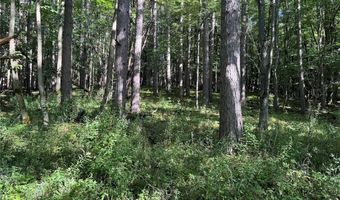 Lynch Road, Alfred, NY 14806